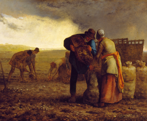 Farming the Land