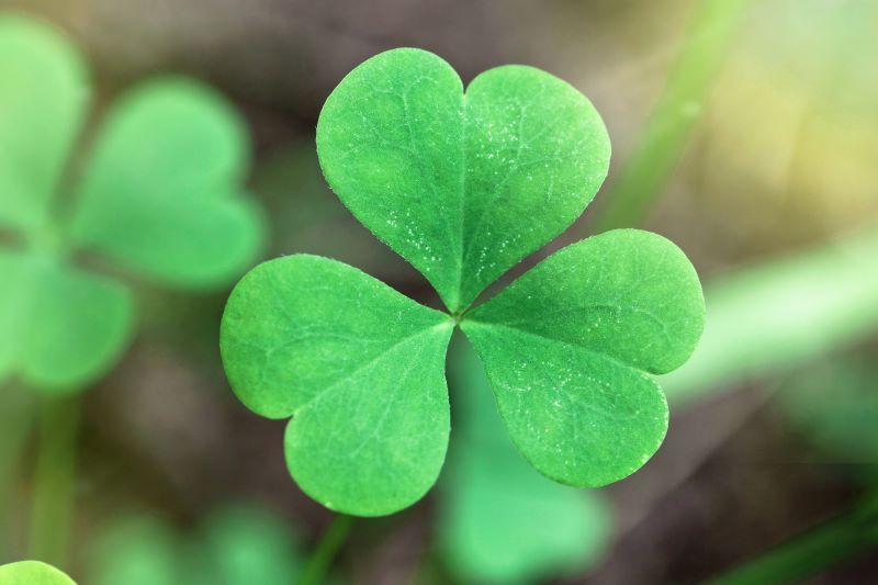 Irish Blessings