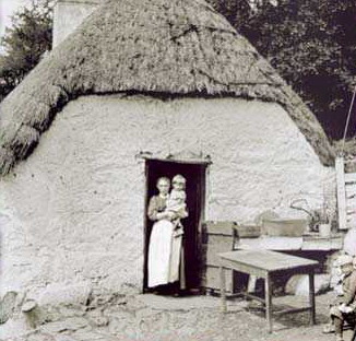Potato Famine